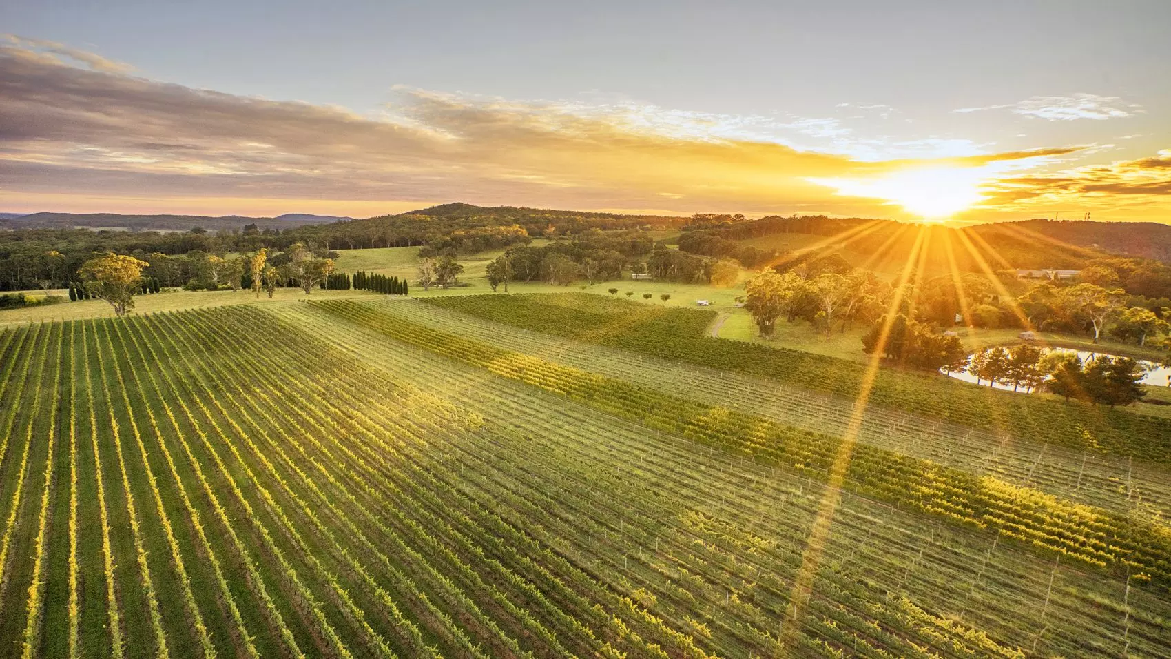 Southern Highlands